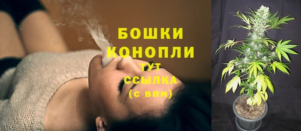 spice Балабаново