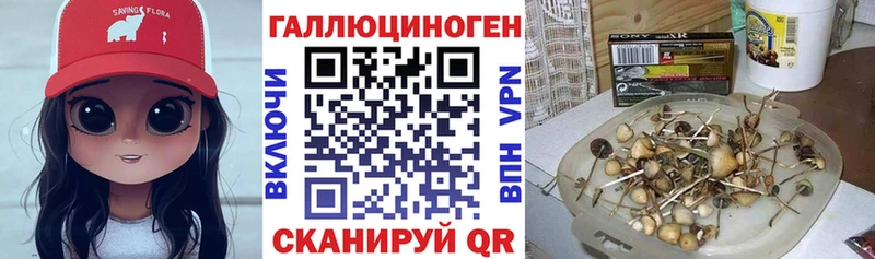 Псилоцибиновые грибы GOLDEN TEACHER наркотики Новозыбков